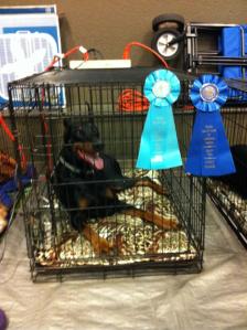 Dare 3rd AXJ with 1st