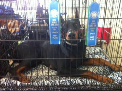 Dare's First Two OA Legs